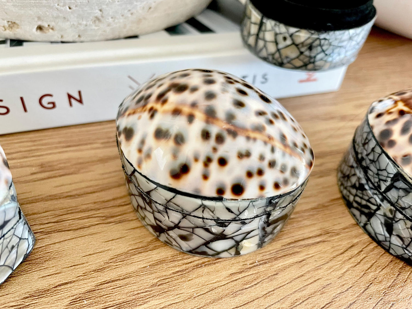 Tiger Cowry Coastal Seashell Gift Box Seashell Jewelry Trinket Dish Beach Décor Mother of Pearl Abalone Irredescent Bottom