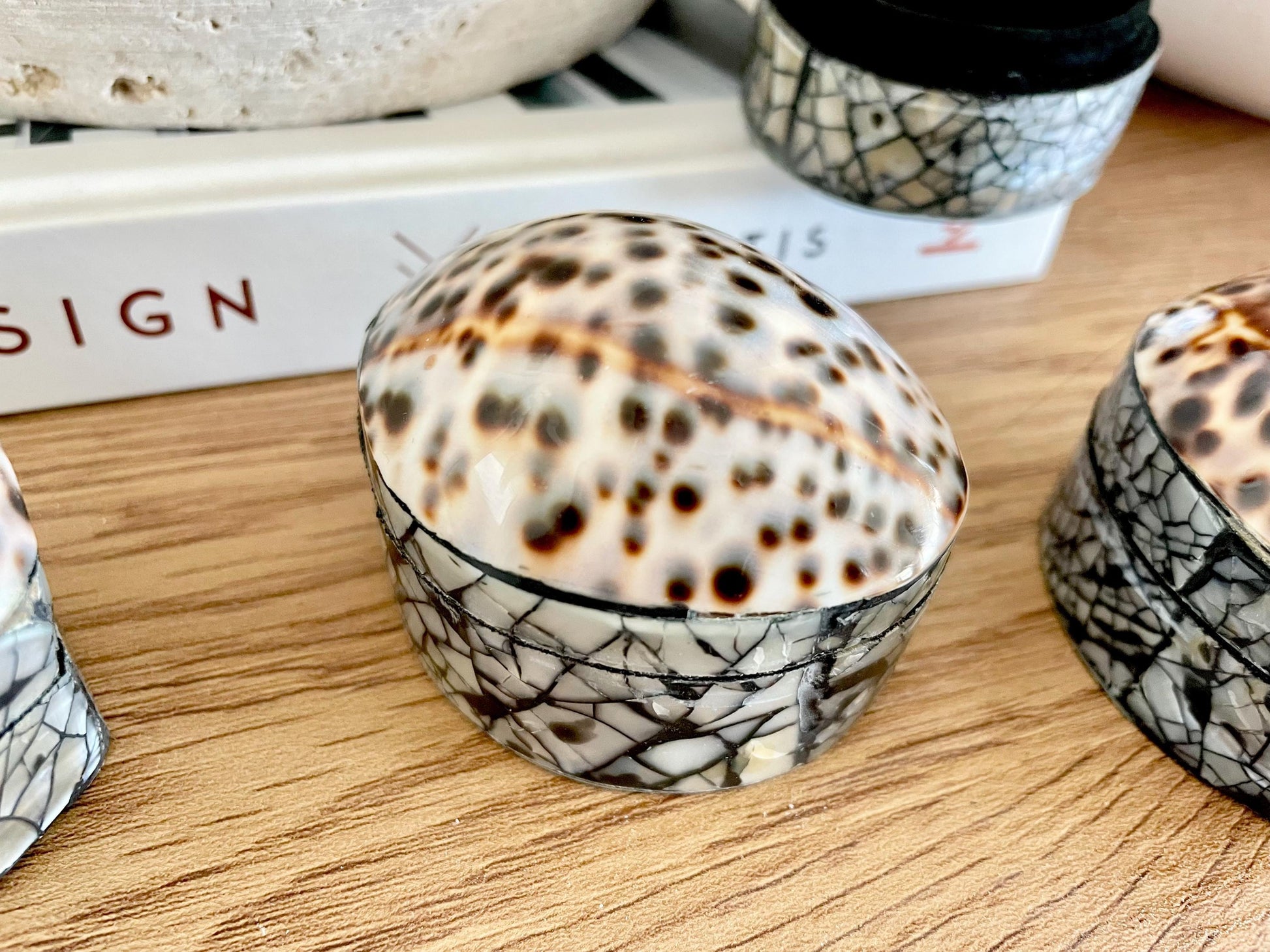 Tiger Cowry Coastal Seashell Gift Box Seashell Jewelry Trinket Dish Beach Décor Mother of Pearl Abalone Irredescent Bottom