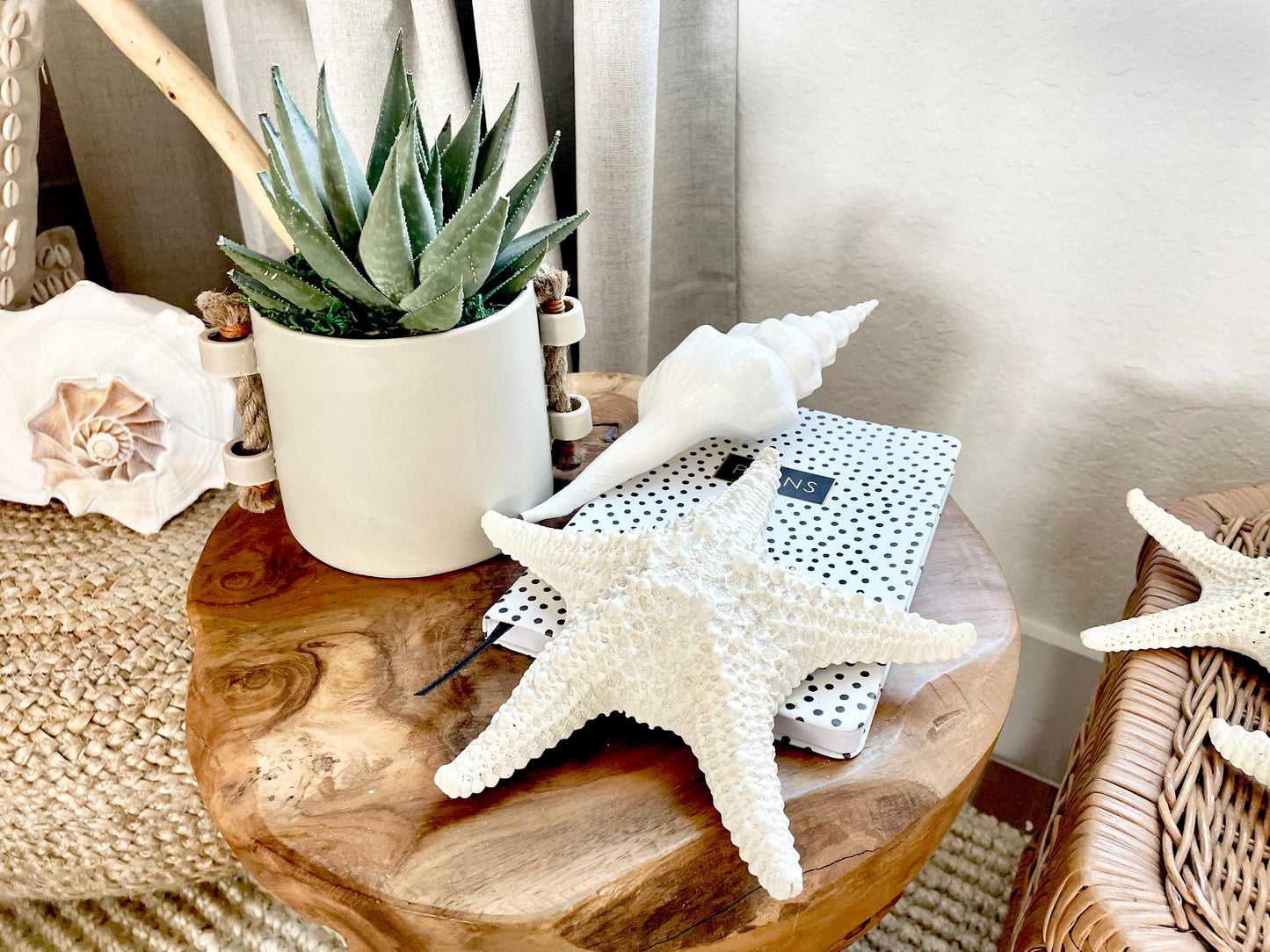 Knobby Starfish 100% Real XS-XXL 2-10" Off White/Tan Color Crafts & Coastal Décor Star Fish Wedding Beach Nautical Stars Small Medium Large
