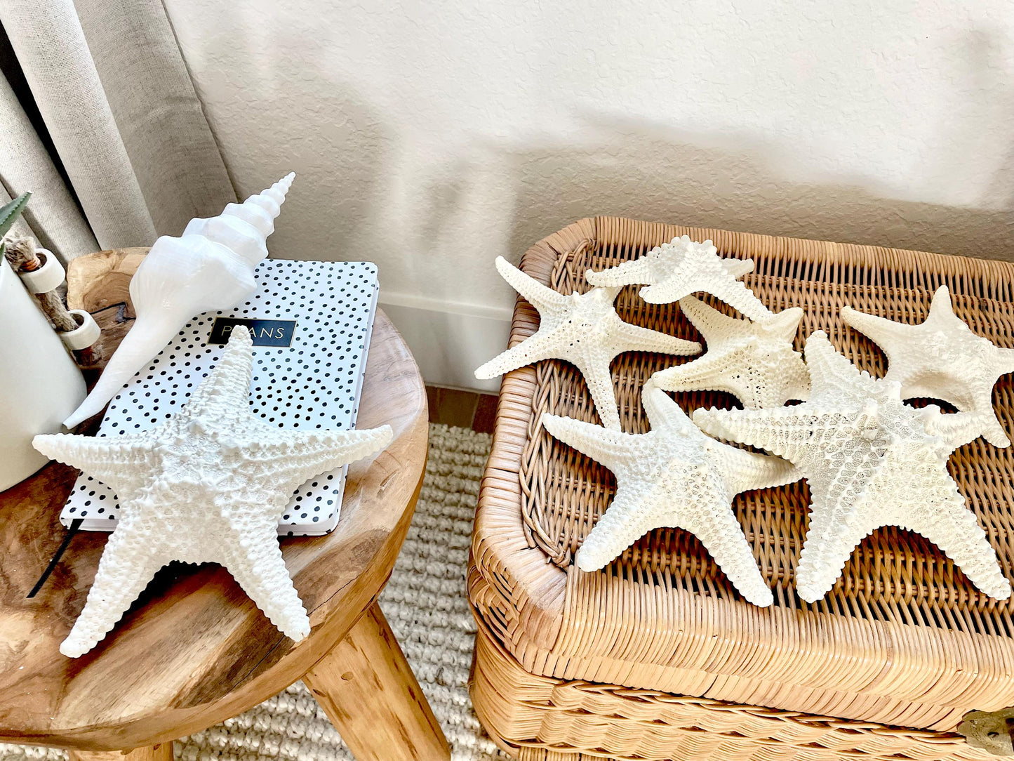 Knobby Starfish 100% Real XS-XXL 2-10" Off White/Tan Color Crafts & Coastal Décor Star Fish Wedding Beach Nautical Stars Small Medium Large