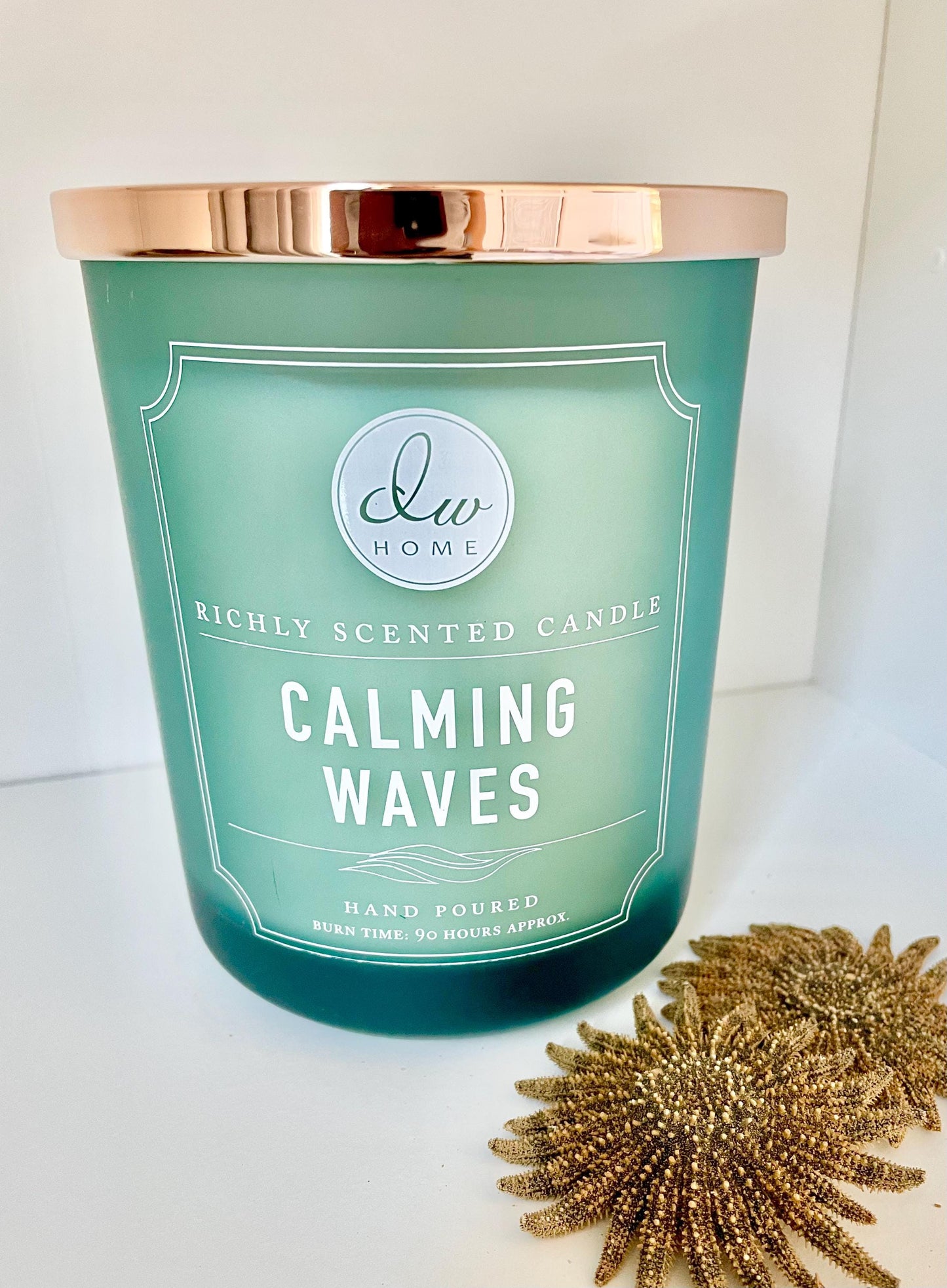 Mexican Sunflower Starfish Authentic 100% Real 2-5" *You Choose Size* Sea Star Wedding Décor Unique Brown Beach Real Dried