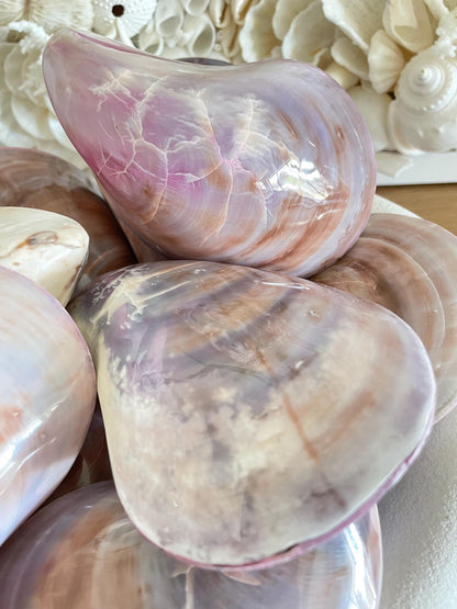 Purple Polished Oyster Pair LARGE 4-6", You Choose Size, Shell Seashell Coastal Crafts