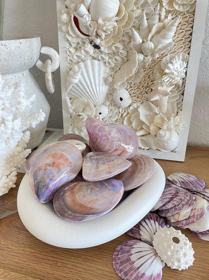 Purple Polished Oyster Pair LARGE 4-6", You Choose Size, Shell Seashell Coastal Crafts