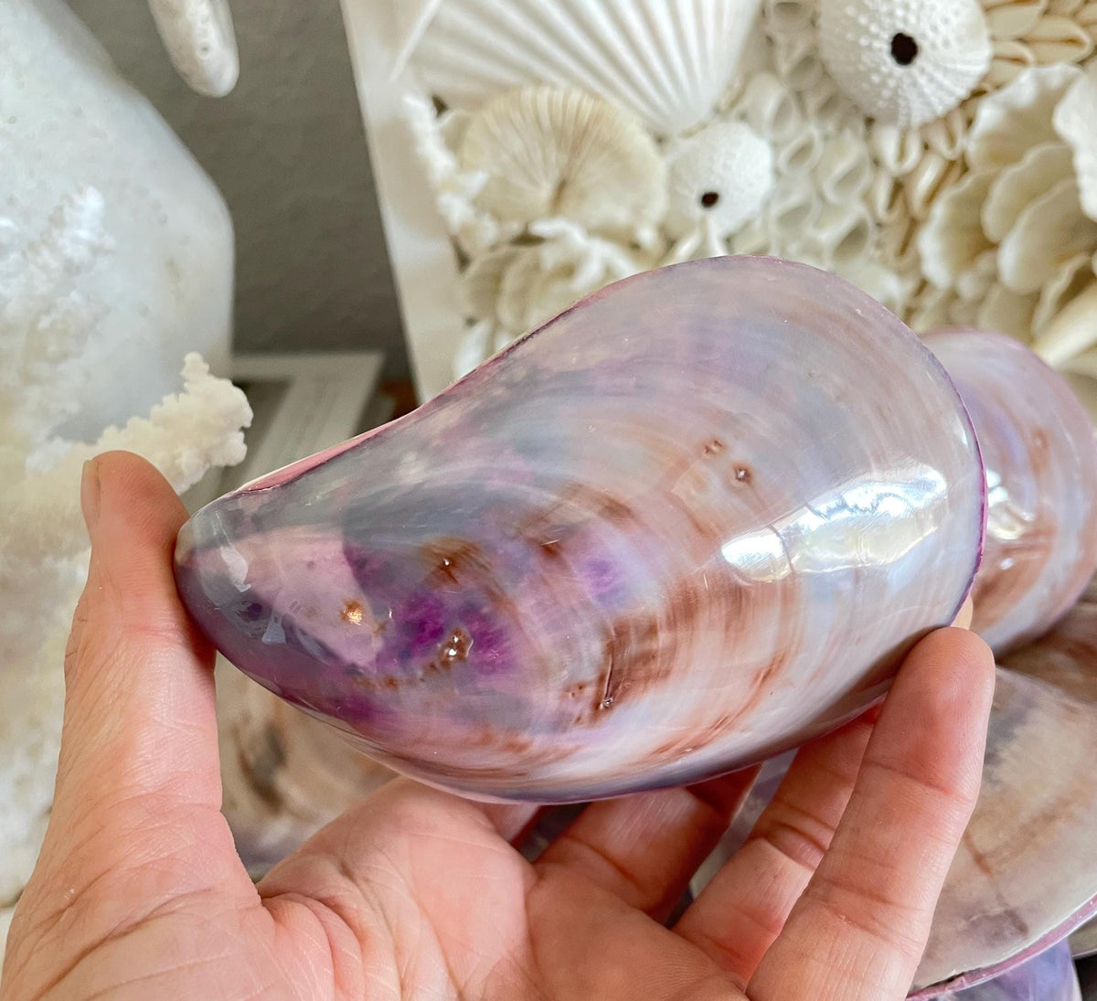Purple Polished Oyster Pair LARGE 4-6", You Choose Size, Shell Seashell Coastal Crafts
