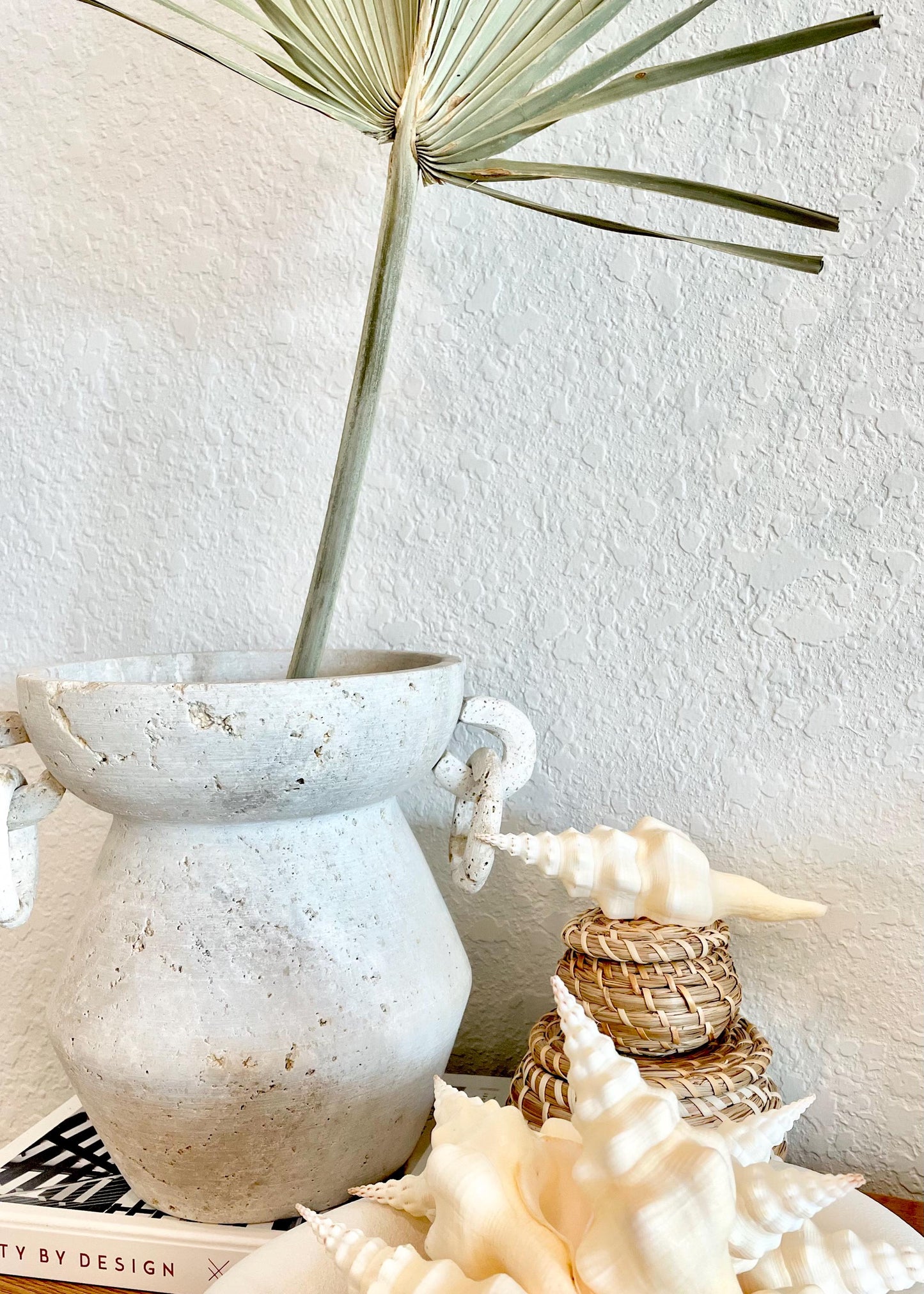 WAVY SPINDLE SHELLS 6-7" Ivory Long Natural Display Conch Seashell Coastal Beach Décor