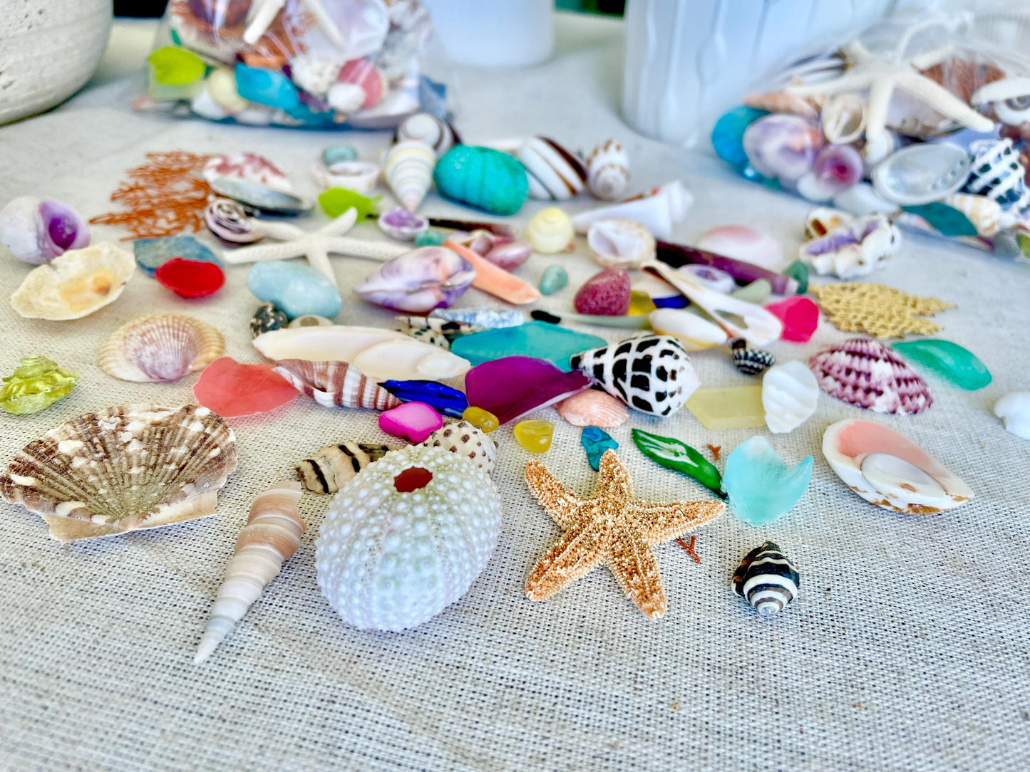 Shell Crafters Colorful Dream Bag Mix! 85 Pieces Tiny-Small Sea Shells, Urchins, Sea Glass, Starfish, coastal mix Bowl Filler