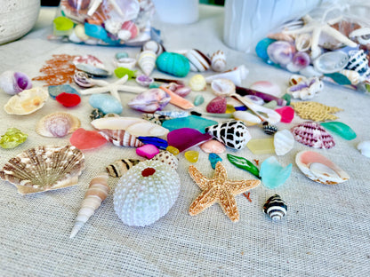 Shell Crafters Colorful Dream Bag Mix! 85 Pieces Tiny-Small Sea Shells, Urchins, Sea Glass, Starfish, coastal mix Bowl Filler