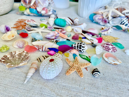 COLORFUL SHELL MIX 85 Pc. 1/4"-2" Seashells, Urchins, Sea Glass, Starfish, Coastal Small Crafts