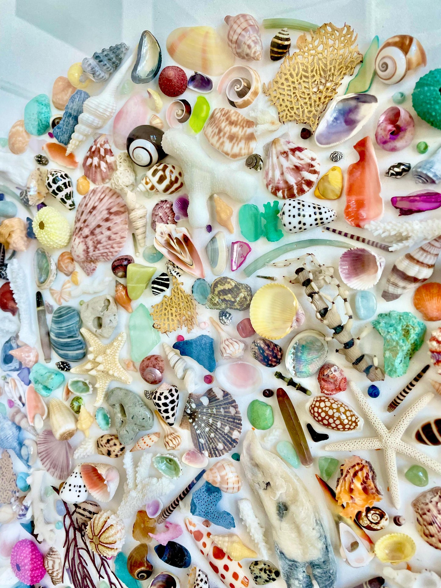 Shell Crafters Colorful Dream Bag Mix! 85 Pieces Tiny-Small Sea Shells, Urchins, Sea Glass, Starfish, coastal mix Bowl Filler