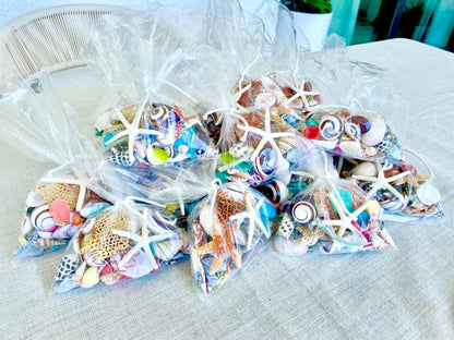 OCEAN VARIETY PACK 85 Pc. 1/4" to 2" Colorful Sea Shells, Urchins, Sea Glass, Starfish, Coastal Mix Craft Assorted Tiny Small Bulk