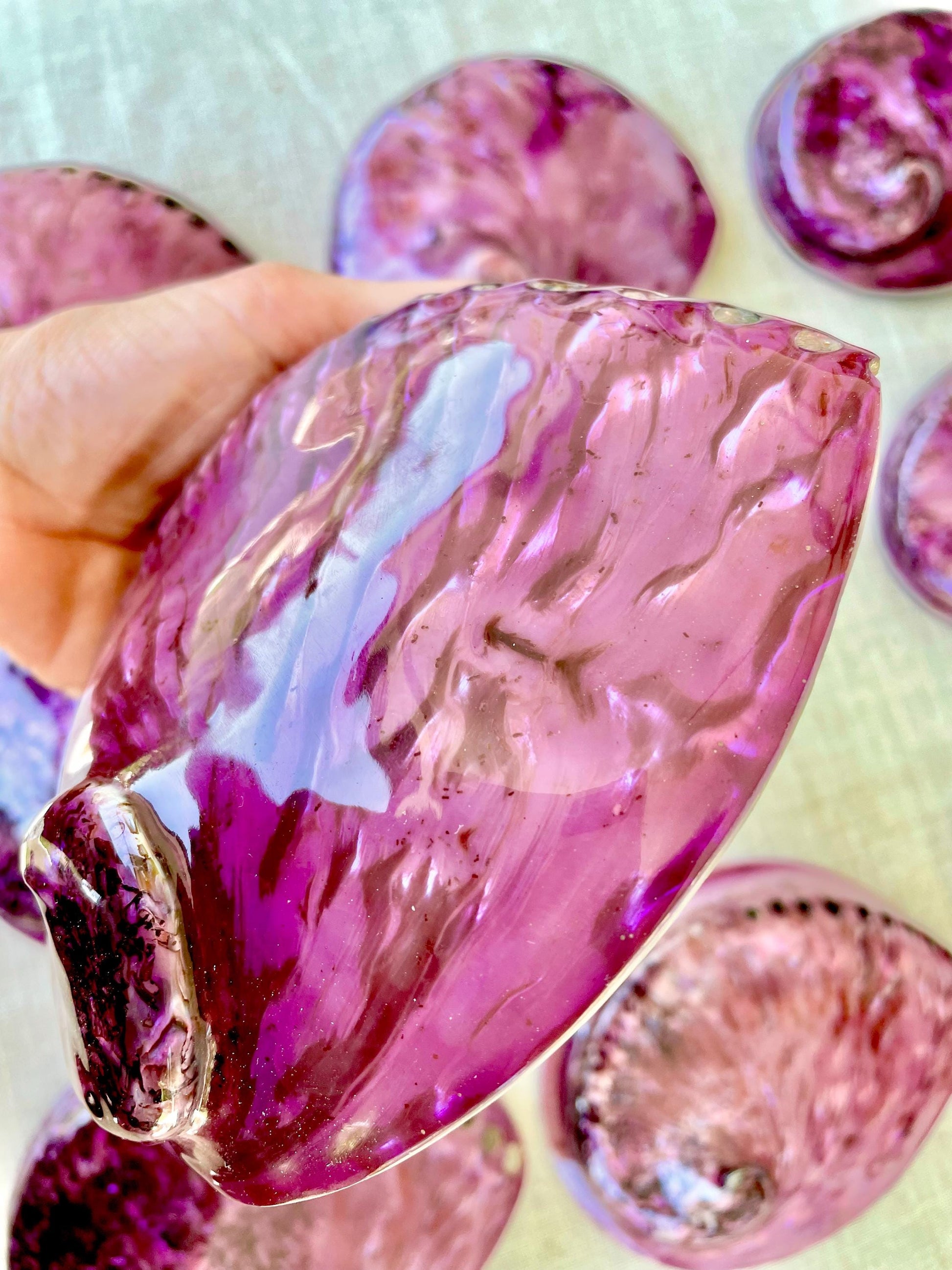 PURPLE ABALONE SHELL Huge 5.5-6" X-Large High Gloss Polished Display Seashell Midas Iridescent Sage Dish