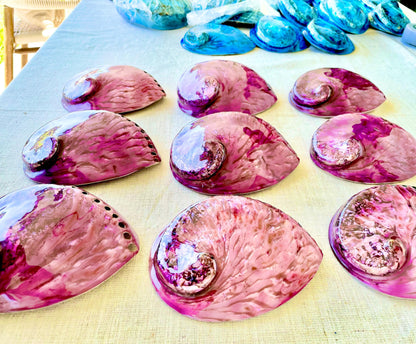 PURPLE ABALONE SHELL Huge 5.5-6" X-Large High Gloss Polished Display Seashell Midas Iridescent Sage Dish