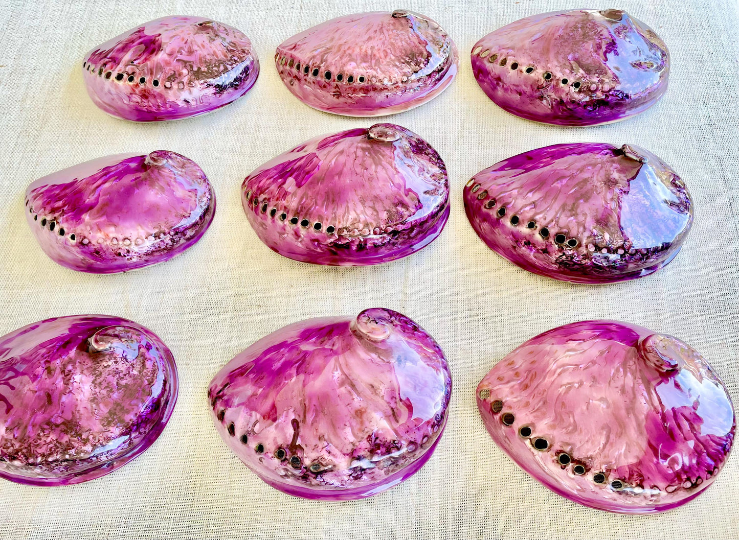 PURPLE ABALONE SHELL Huge 5.5-6" X-Large High Gloss Polished Display Seashell Midas Iridescent Sage Dish