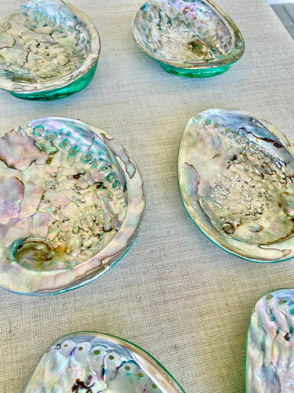 Green Abalone Seashell: XL 5.5-6" Iridescent Coastal Décor, Sage Dish