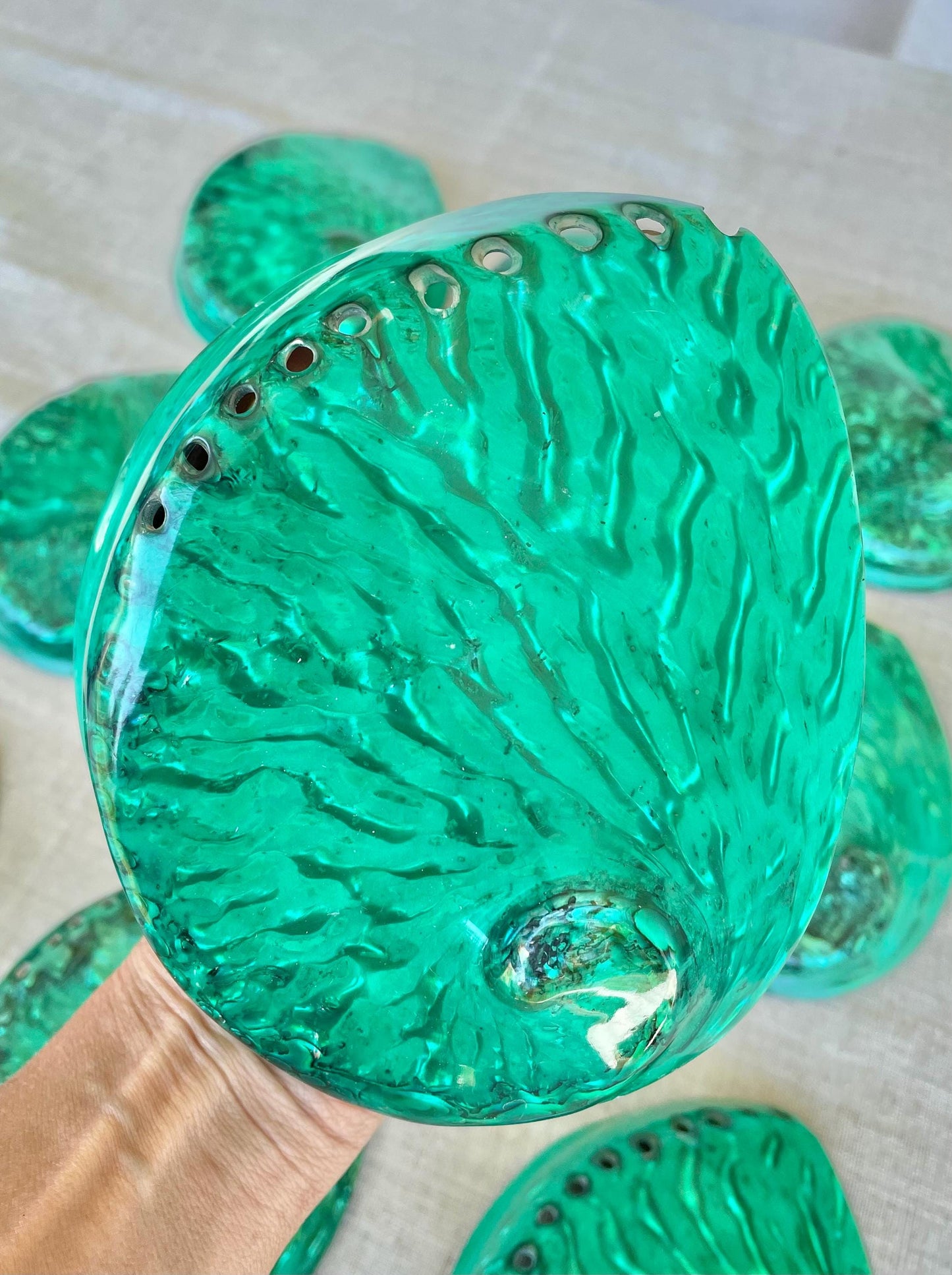 Green Abalone Seashell: XL 5.5-6" Iridescent Coastal Décor, Sage Dish