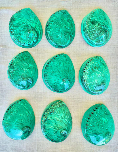 GREEN ABALONE SHELL Huge 5.5-6" X-Large High Gloss Polished Display Seashell Midas Iridescent Sage Dish