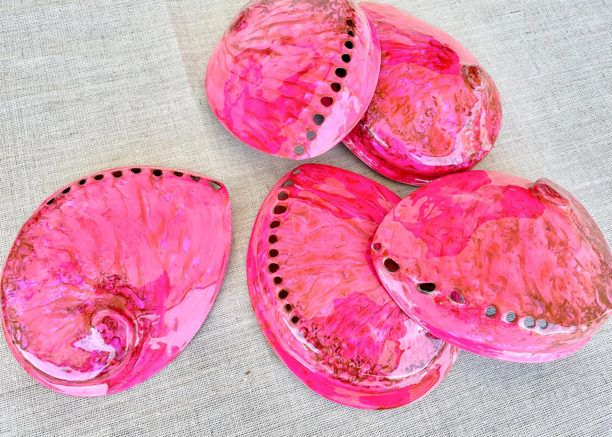 PINK ABALONE SHELL Huge 5.5-6" X-Large High Gloss Polished Display Seashell Midas Iridescent Sage Dish