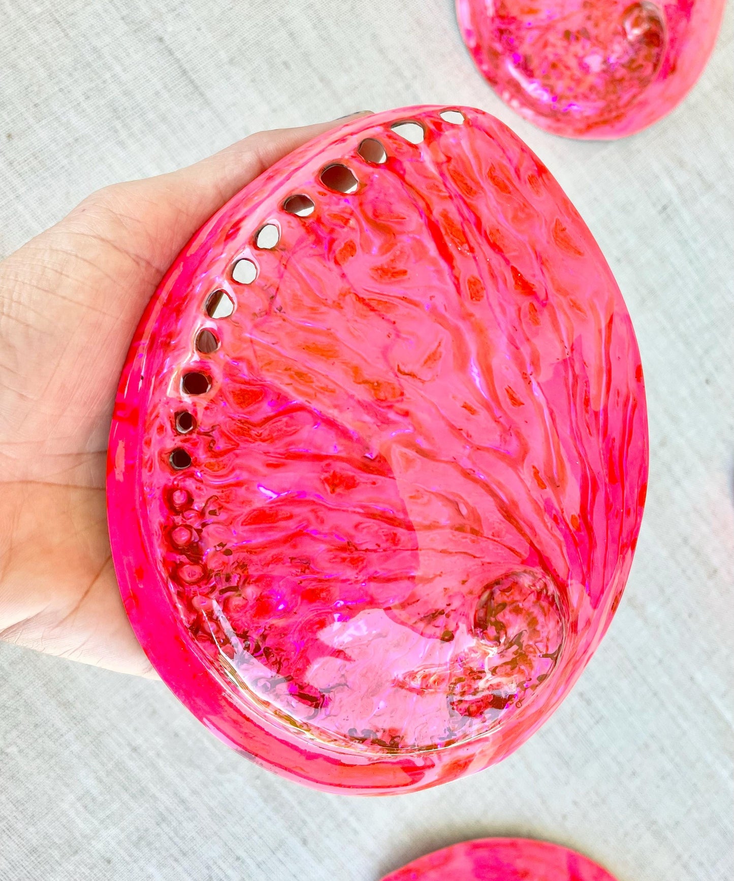 PINK ABALONE SHELL Huge 5.5-6" X-Large High Gloss Polished Display Seashell Midas Iridescent Sage Dish
