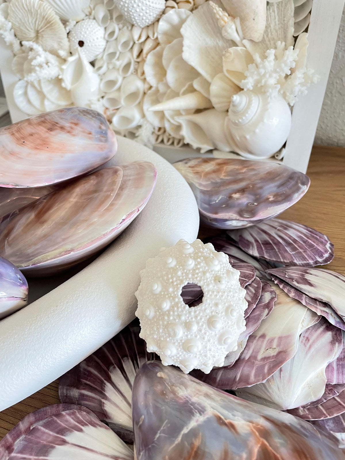 Purple Polished Oyster Pair LARGE 4-6", You Choose Size, Shell Seashell Coastal Crafts