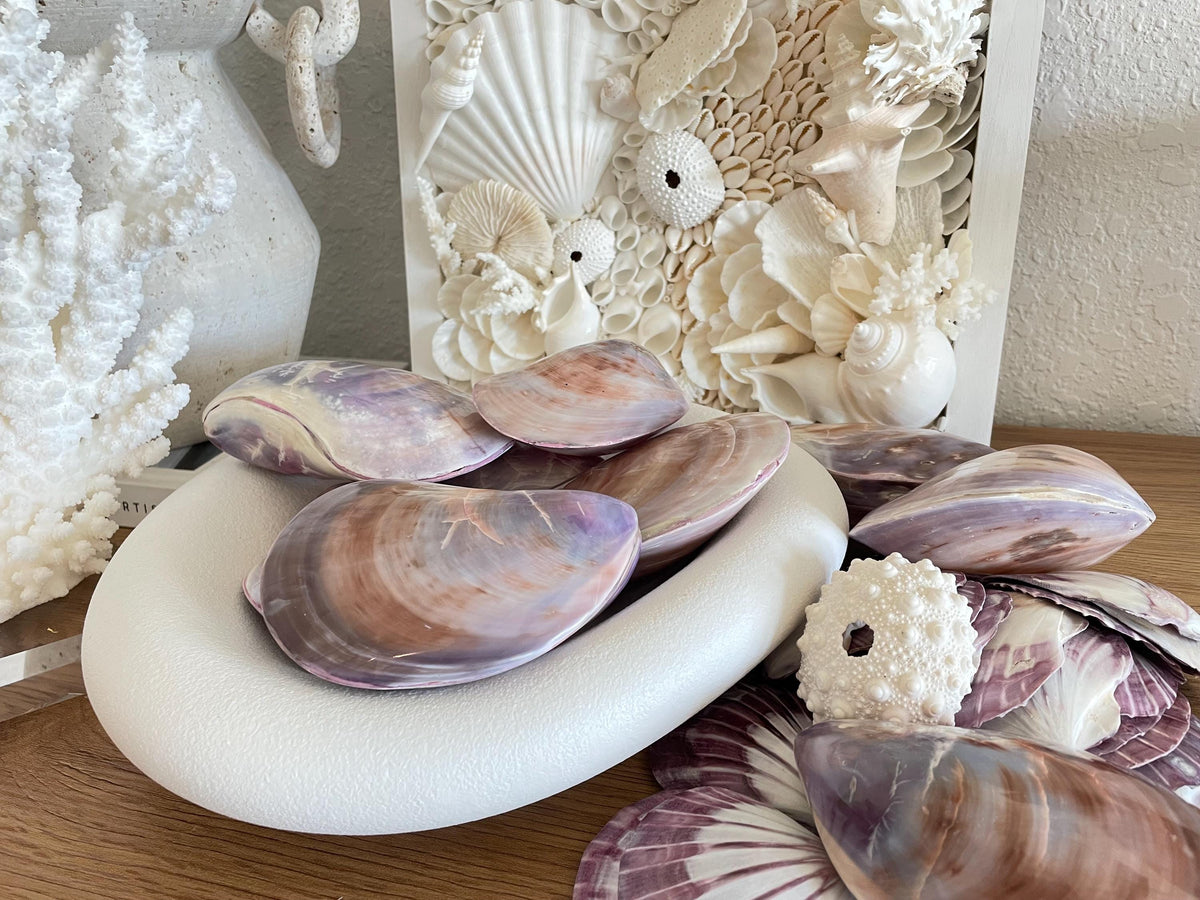 Purple Polished Oyster Pair LARGE 4-6", You Choose Size, Shell Seashell Coastal Crafts