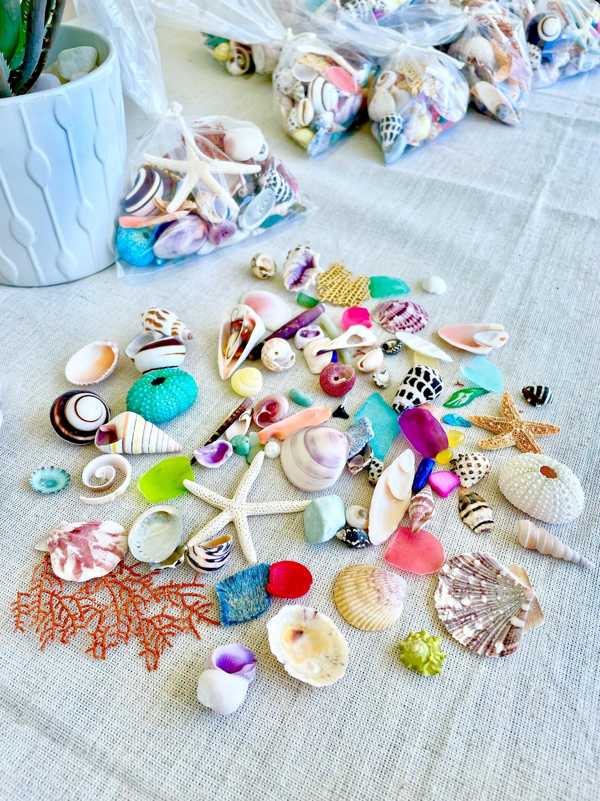 Shell Crafters Colorful Dream Bag Mix! 85 Pieces Tiny-Small Sea Shells, Urchins, Sea Glass, Starfish, coastal mix Bowl Filler