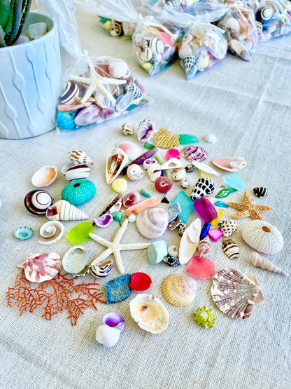 OCEAN VARIETY PACK 85 Pc. 1/4" to 2" Colorful Sea Shells, Urchins, Sea Glass, Starfish, Coastal Mix Craft Assorted Tiny Small Bulk