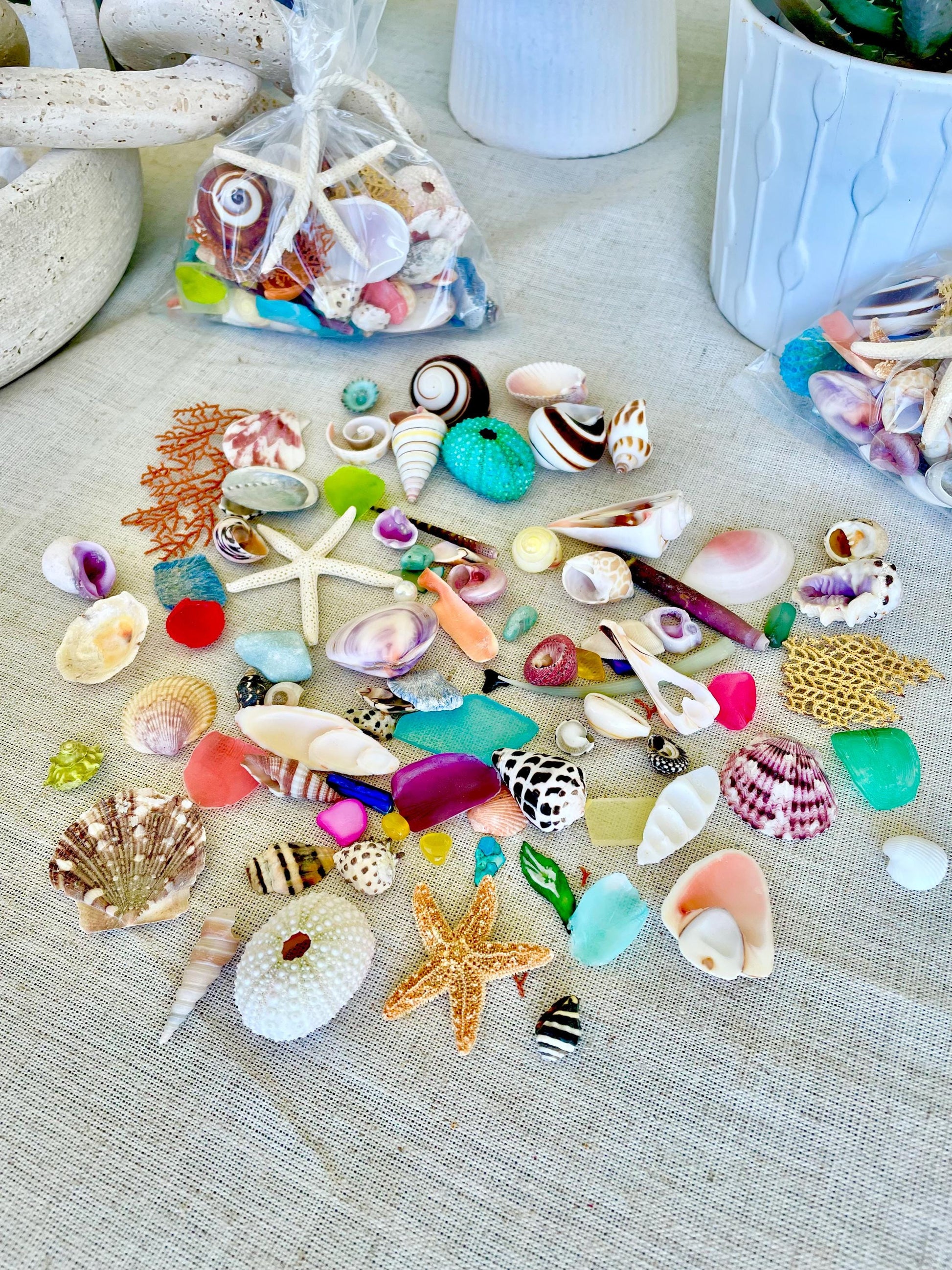COLORFUL SHELL MIX 85 Pc. 1/4"-2" Seashells, Urchins, Sea Glass, Starfish, Coastal Small Crafts