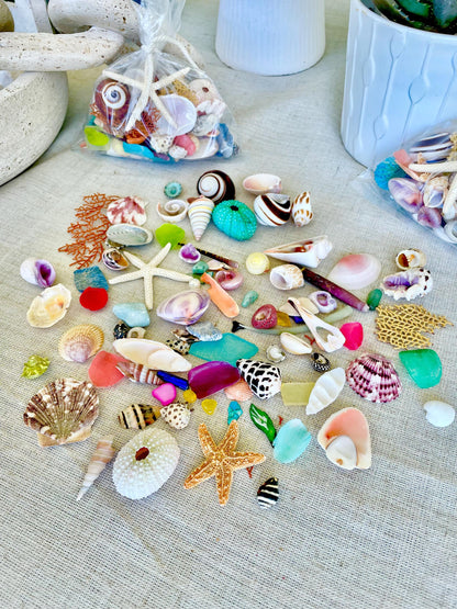 COLORFUL SHELL MIX 85 Pc. 1/4"-2" Seashells, Urchins, Sea Glass, Starfish, Coastal Small Crafts