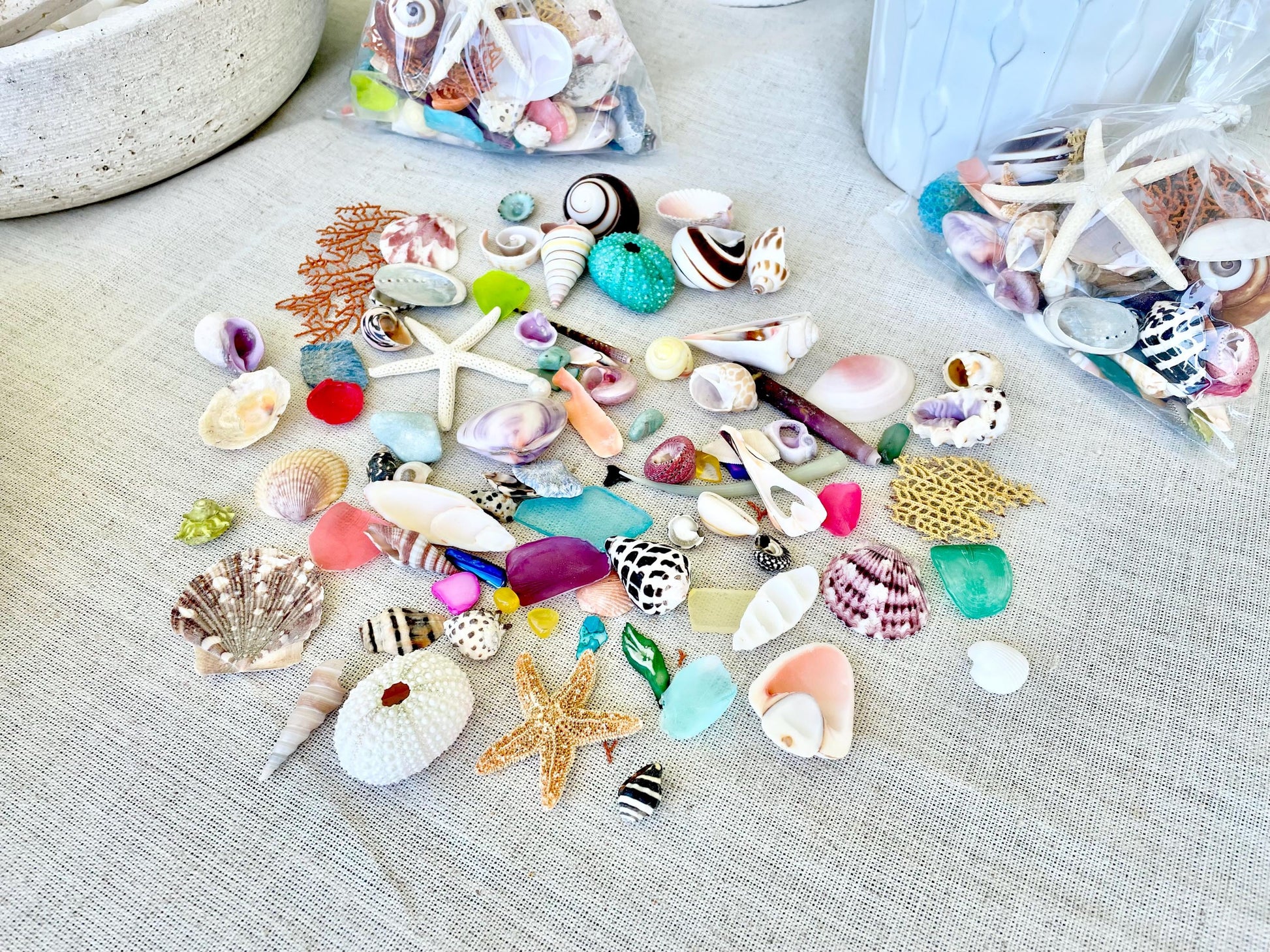 COLORFUL SHELL MIX 85 Pc. 1/4"-2" Seashells, Urchins, Sea Glass, Starfish, Coastal Small Crafts