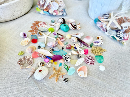 COLORFUL SHELL MIX 85 Pc. 1/4"-2" Seashells, Urchins, Sea Glass, Starfish, Coastal Small Crafts