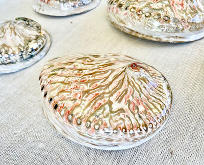 SILVER/RED ABALONE Shell Huge 6-6.5" X-Large High Gloss Polished Display Seashell Midas Sage Dish
