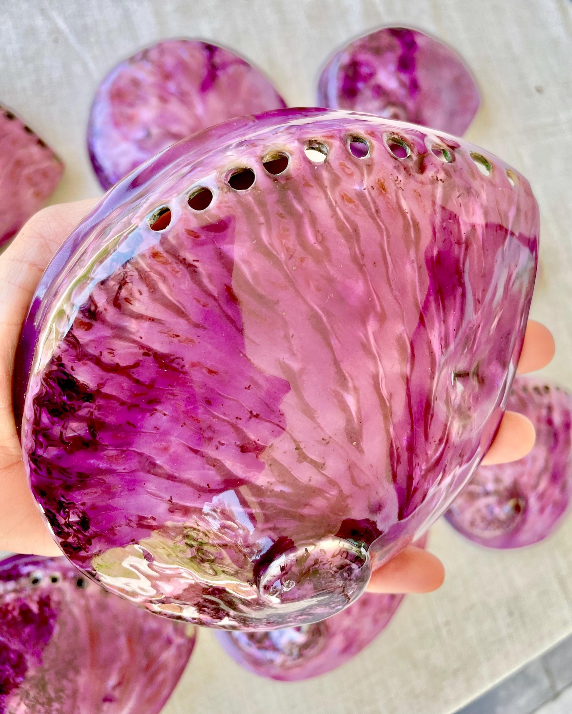 PURPLE ABALONE SHELL Huge 5.5-6" X-Large High Gloss Polished Display Seashell Midas Iridescent Sage Dish