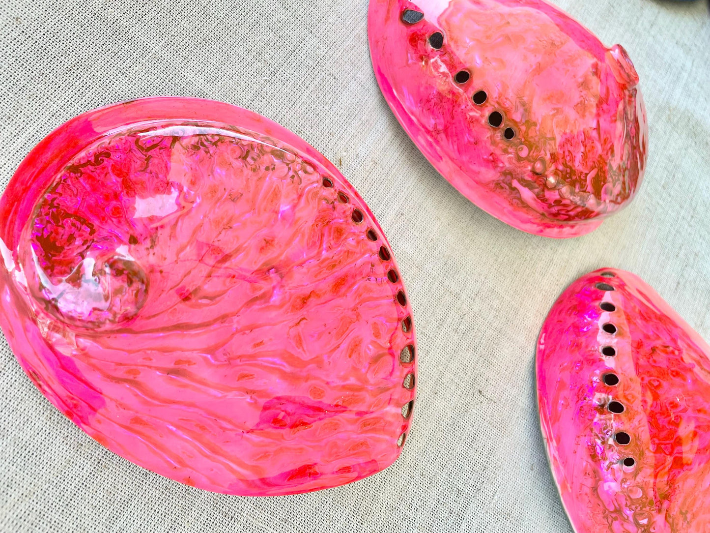 PINK ABALONE SHELL Huge 5.5-6" X-Large High Gloss Polished Display Seashell Midas Iridescent Sage Dish