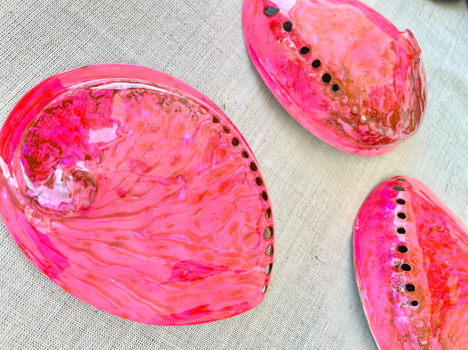 Polished Hot Pink Abalone Shell - Iridescent Coastal Decor (5.5-6")