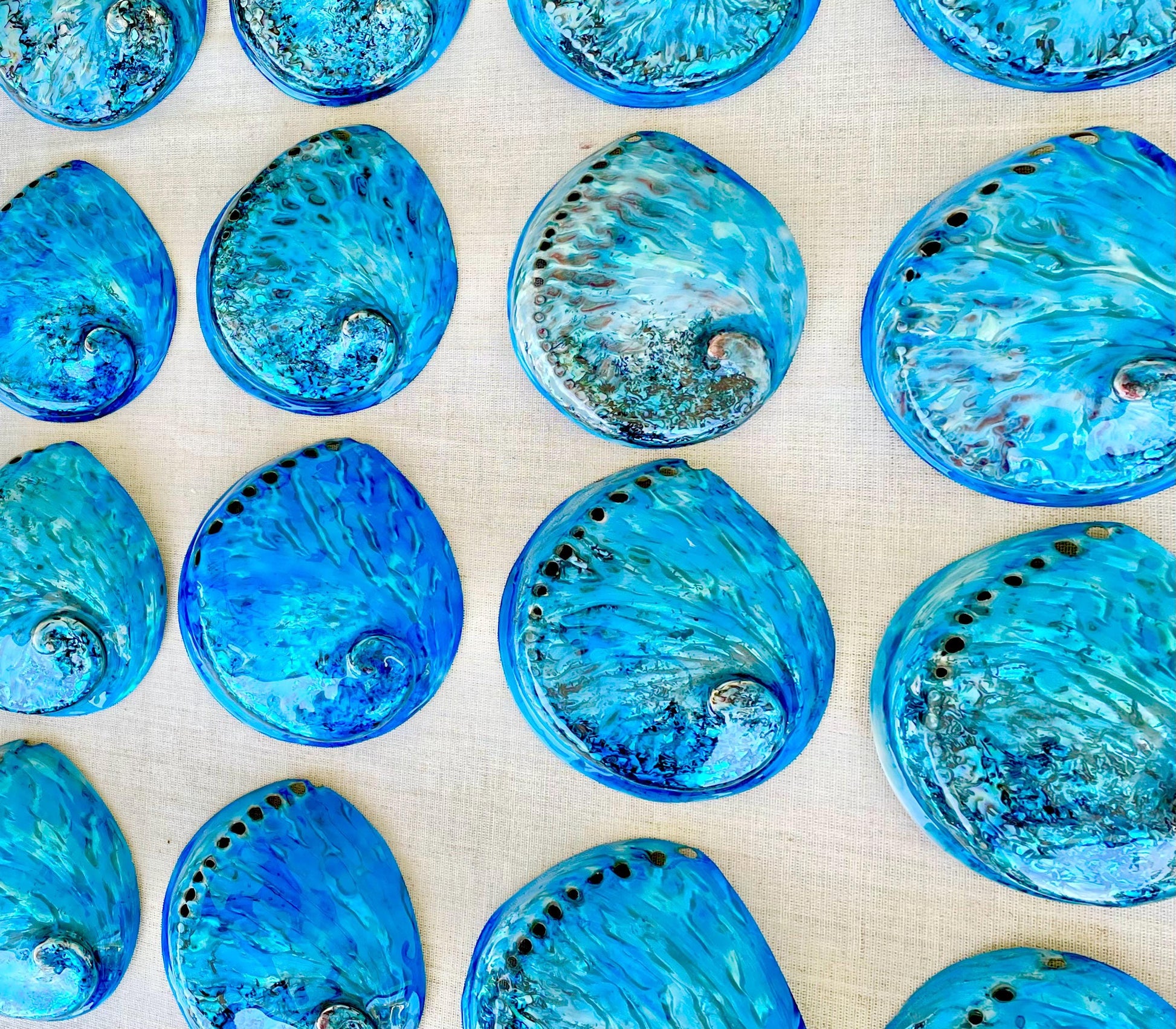 BLUE ABALONE SHELL Huge 5.5-6" X-Large High Gloss Polished Display Seashell Midas Iridescent Sage Dish