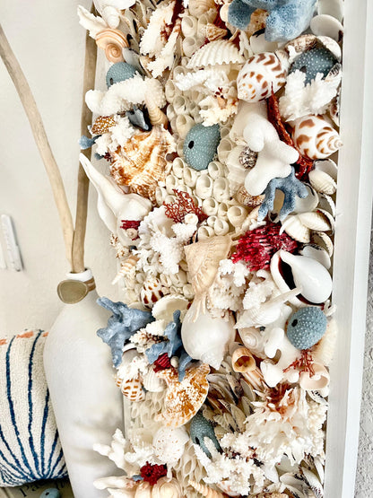 Seashell Modern Coastal Wall Art Natural Textured Sea shells Urchins Coral 36" x 12" Beach House Décor White Red Blue Sanibel