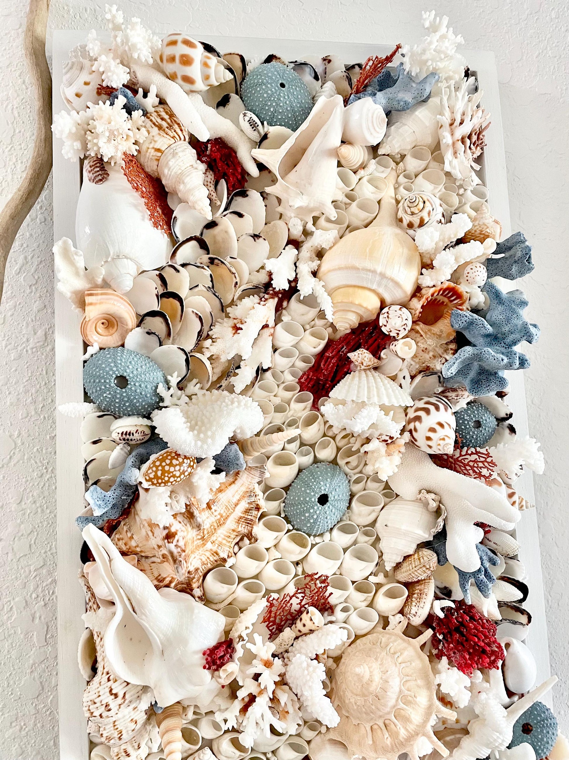 Seashell Modern Coastal Wall Art Natural Textured Sea shells Urchins Coral 36" x 12" Beach House Décor White Red Blue Sanibel