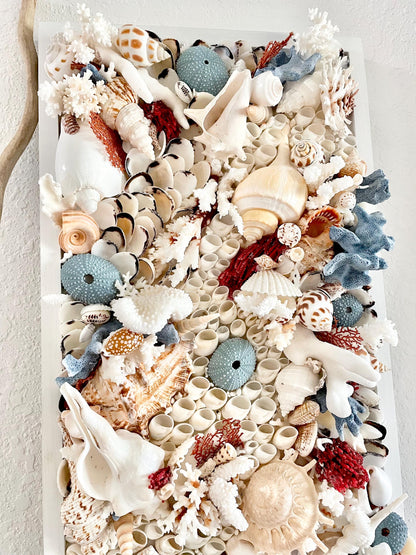 Seashell Modern Coastal Wall Art Natural Textured Sea shells Urchins Coral 36" x 12" Beach House Décor White Red Blue Sanibel