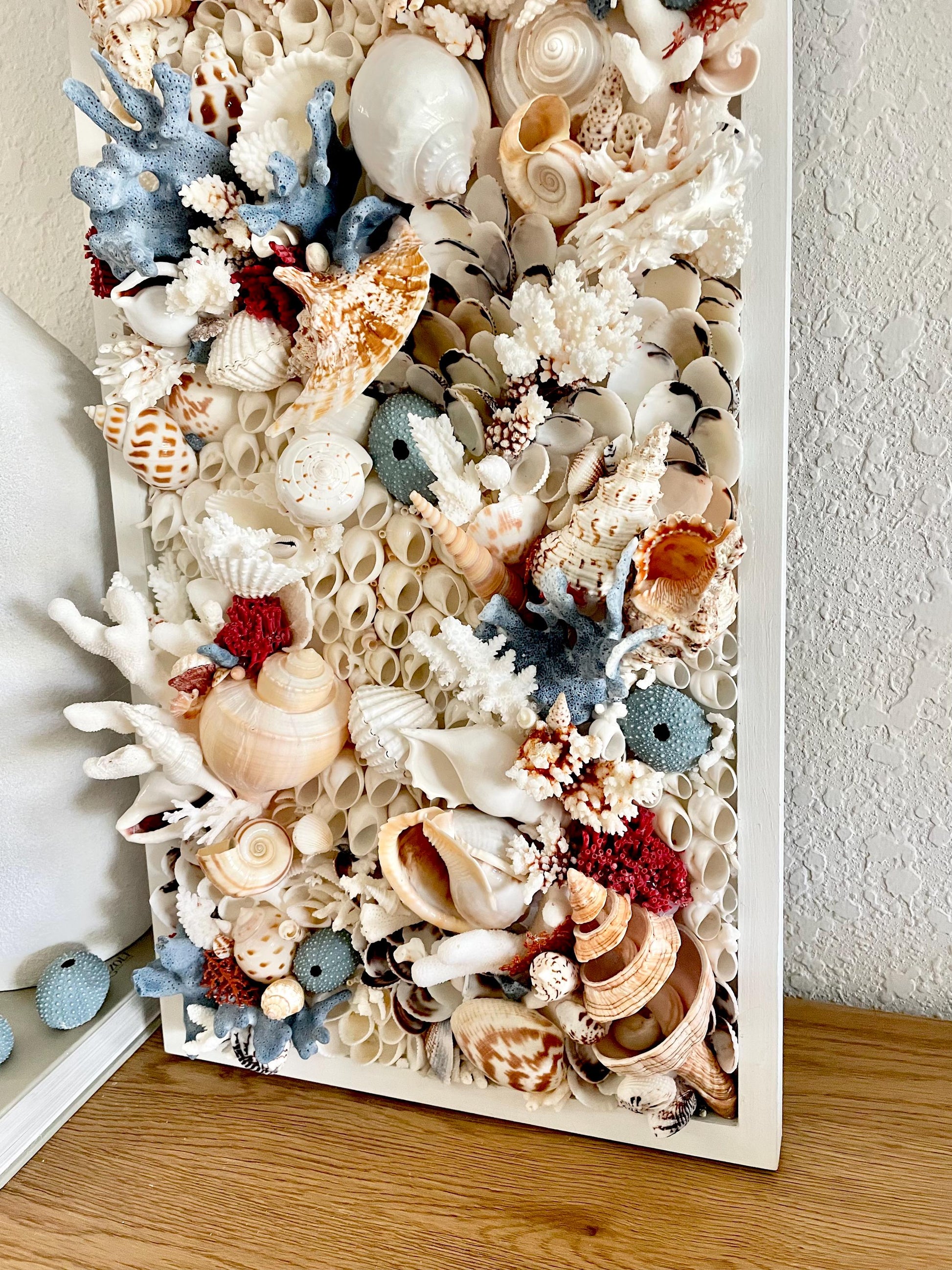 Seashell Modern Coastal Wall Art Natural Textured Sea shells Urchins Coral 36" x 12" Beach House Décor White Red Blue Sanibel