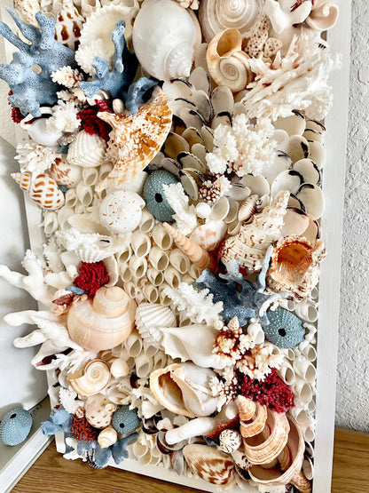 Seashell Modern Coastal Wall Art Natural Textured Sea shells Urchins Coral 36" x 12" Beach House Décor White Red Blue Sanibel