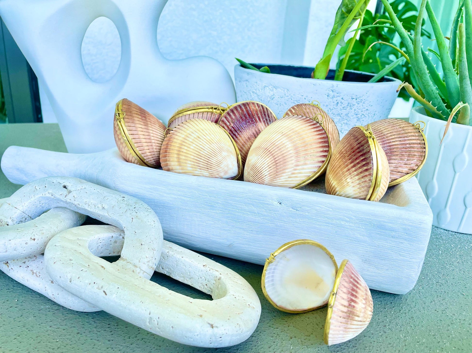 Authentic Vintage 3" Long Seashell Ring Box Brass Hinge Jewelry Elegant Trinket Pill Container Bearer Coastal Accessories Beige Tan Seashell