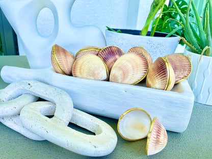 Authentic Vintage 3" Long Seashell Ring Box Brass Hinge Jewelry Elegant Trinket Pill Container Bearer Coastal Accessories Beige Tan Seashell