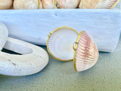 Authentic Vintage 3" Long Seashell Ring Box Brass Hinge Jewelry Elegant Trinket Pill Container Bearer Coastal Accessories Beige Tan Seashell