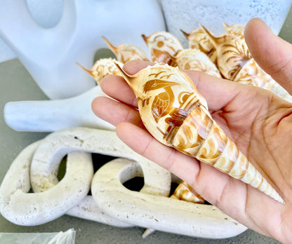 HAND CARVED TIBIA Shells 4-5" Natural Coastal Gift Brown White Display Seashell