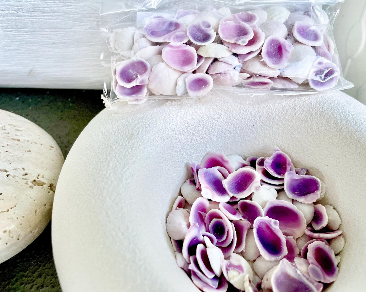 CEBU BEAUTY HALF Cuts Craft Shells .25-.5" *You Choose Quantity*Purple Violet Seashells Coastal Beach