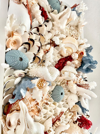 Seashell Wall Art: Textured Coastal Décor, Natural Shells & Coral, 36x12" Red Blue White
