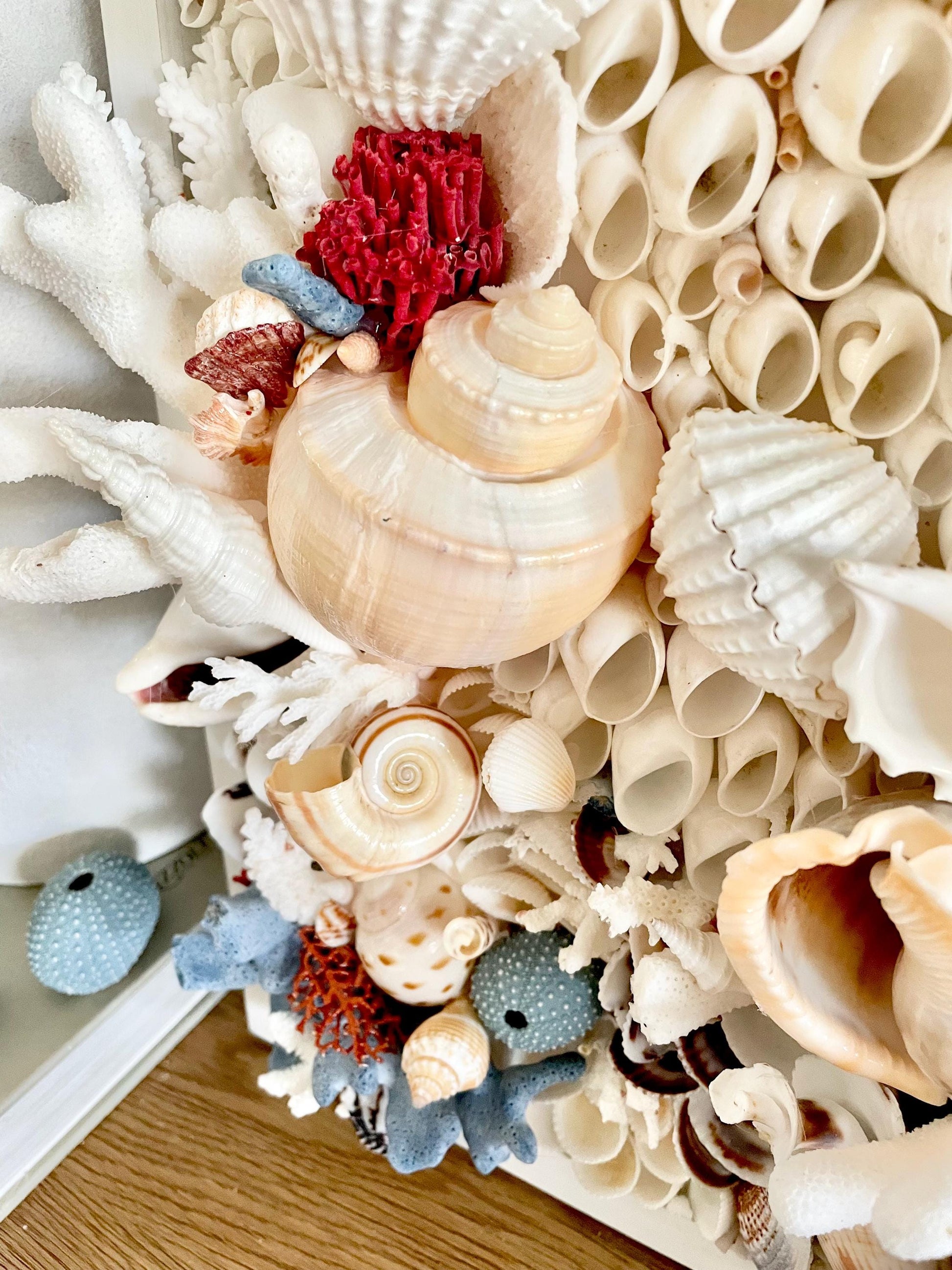 Seashell Modern Coastal Wall Art Natural Textured Sea shells Urchins Coral 36" x 12" Beach House Décor White Red Blue Sanibel