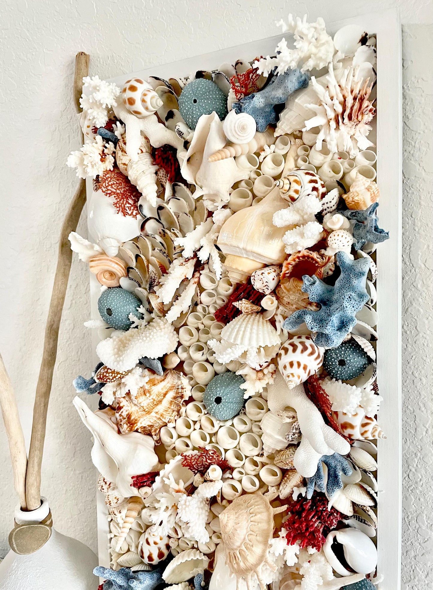 Seashell Modern Coastal Wall Art Natural Textured Sea shells Urchins Coral 36" x 12" Beach House Décor White Red Blue Sanibel