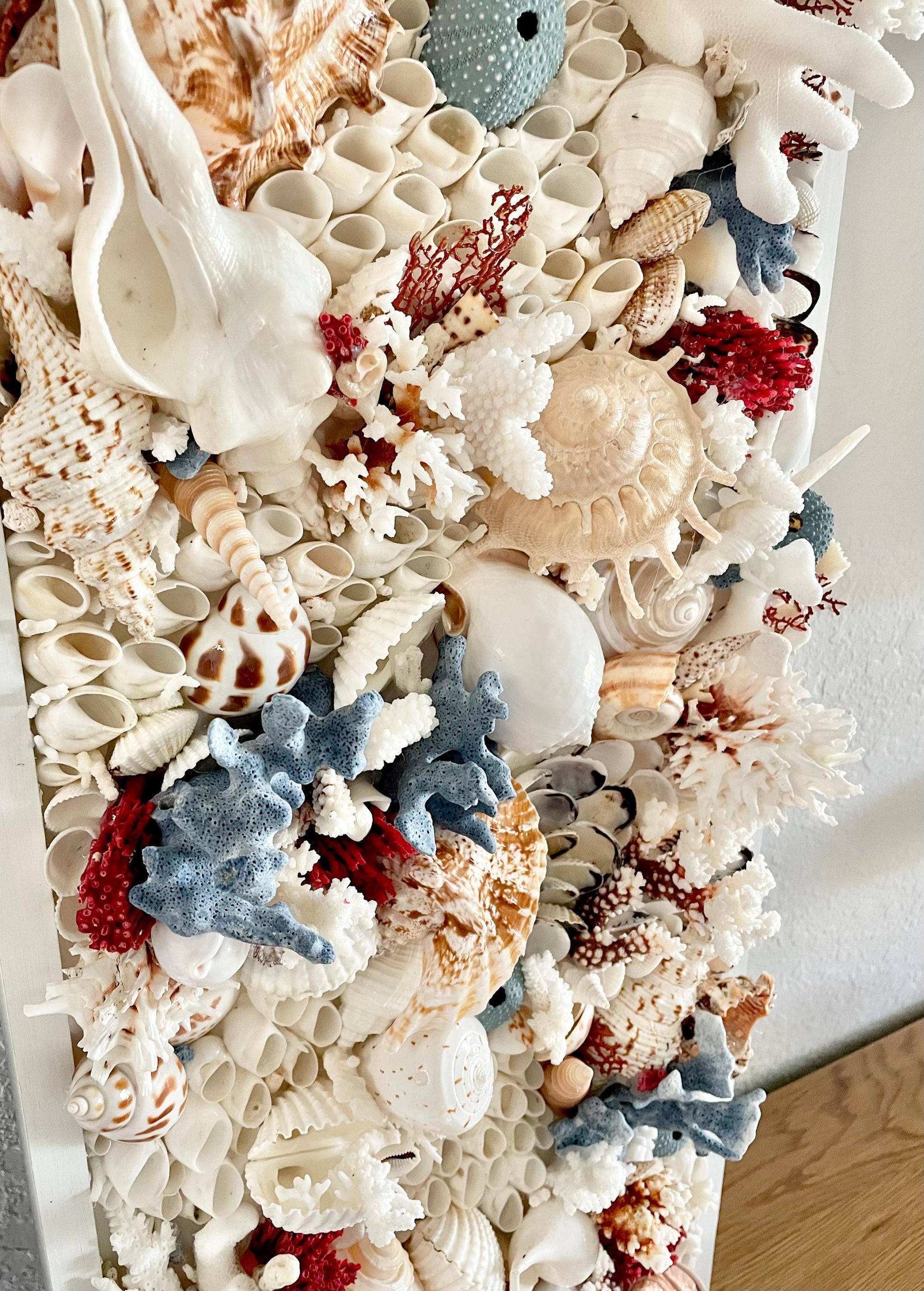 Seashell Modern Coastal Wall Art Natural Textured Sea shells Urchins Coral 36" x 12" Beach House Décor White Red Blue Sanibel