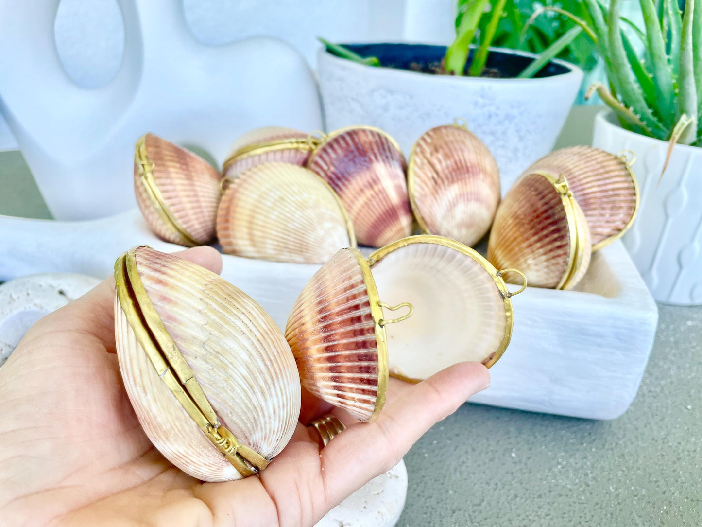 Authentic Vintage 3" Long Seashell Ring Box Brass Hinge Jewelry Elegant Trinket Pill Container Bearer Coastal Accessories Beige Tan Seashell